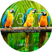 Birds Lock Screen icon