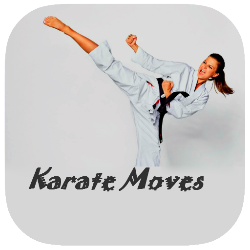 Karate Moves Guide icon