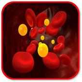 How To Lower Cholesterol on 9Apps