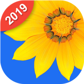 Photo Gallery &amp; Album icon