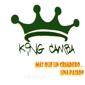 King Camba icon