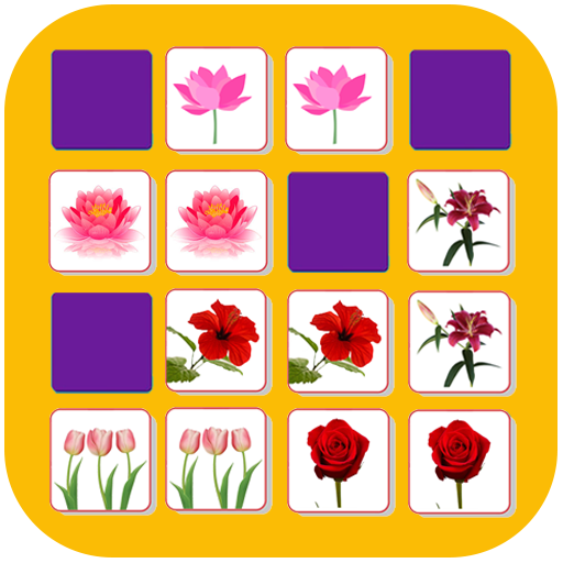 Matching Challenge icon