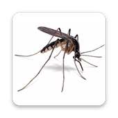 Mosquito on 9Apps