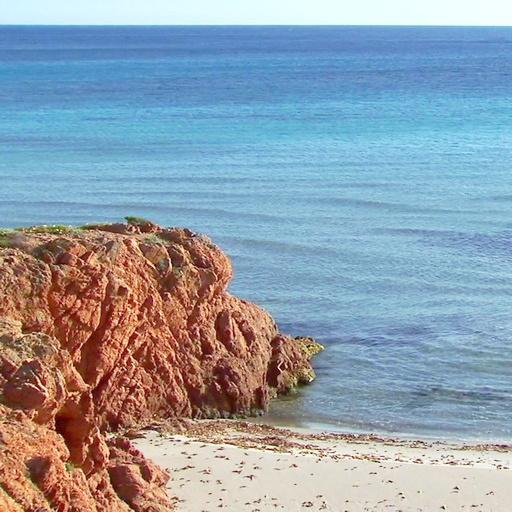 Утро на пляже живые обои иконка