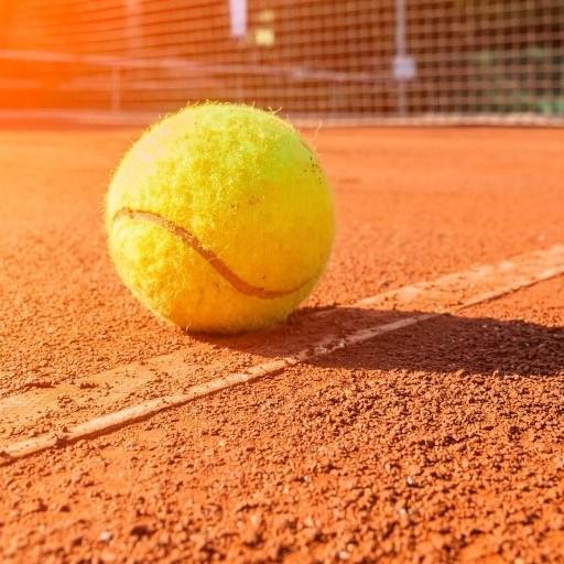 Tennis techniques icon