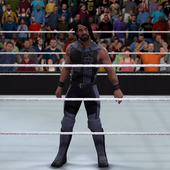 Action For WWE 2k17 icon