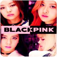 Best BLACKPINK Songs Plus Lyric ( Offline)