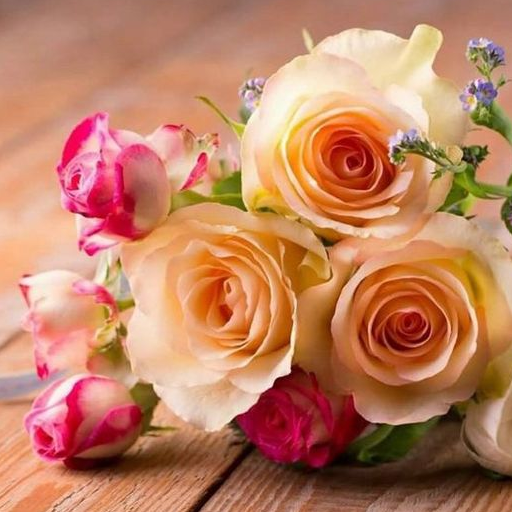 Beautiful Flowers &amp; Roses Pics icon