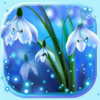 Snowdrops Blue Live Wallpaper on 9Apps
