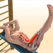 Training Exercise Tutorials icon