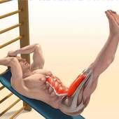 Training Exercise Tutorials