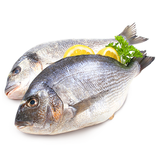 Fish Recipes icon