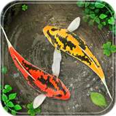 Fish Live Wallpaper Water Background 2018 on 9Apps