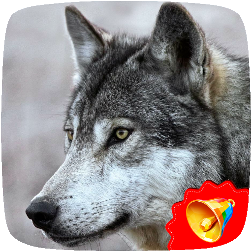 Wolf Sounds icon