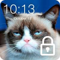 Grumpy Cat Wallpaper HD Screen Lock