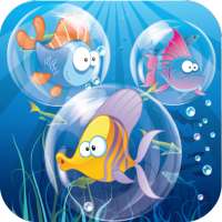 Bubble Popping For Babies FREE