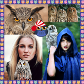 Owls Photo Collage icon