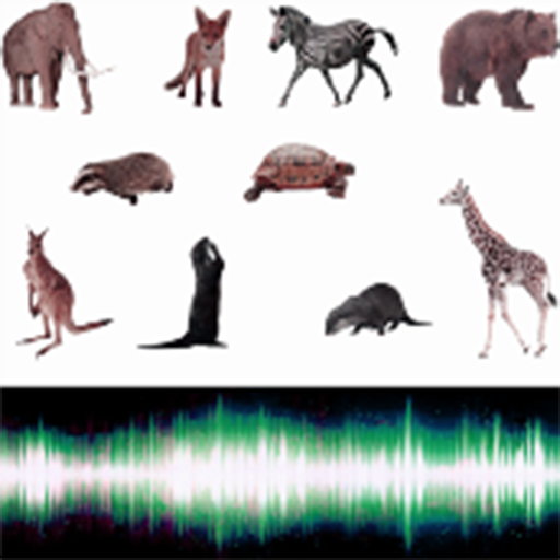 Animal Sound icon