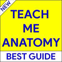 Teach Me Anatomy – Learn Anatomy
