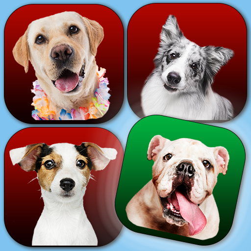 Dog Quiz:Trivia Questions–Guess the dog breed quiz icon