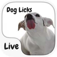 Dog Licking Keyboard  Animated on 9Apps