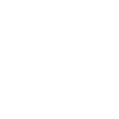 Connected Wifi icon