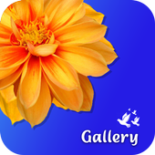 Gallery icon