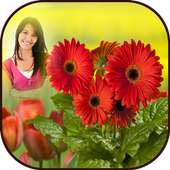 HD Photo Frames - Flowers