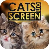 Cat Walks on Phone Screen: Funny Animation