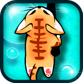 버블캣 (Bubble Cat) icon