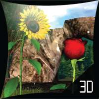 Sunflower Rose Lwp 3d Lt on 9Apps