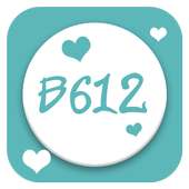 Guide b612