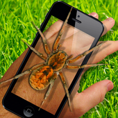 Spider On Hand. Scare Prank icon