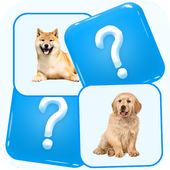 Match Picture Memory Game icon