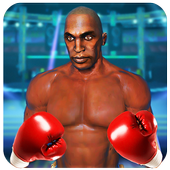Punch Boxing Ring Fighter-Fit for Fighting icon