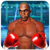 Punch Boxing Ring Fighter-Fit for Fighting