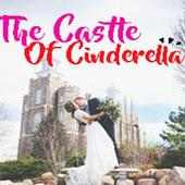 The Castle Of Cinderella