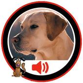 dog sounds icon