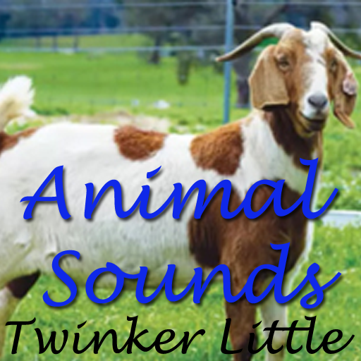 Animals Sounds icon