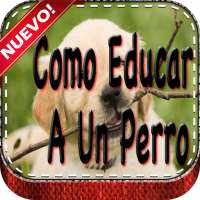 Como Educar a Un Perro
