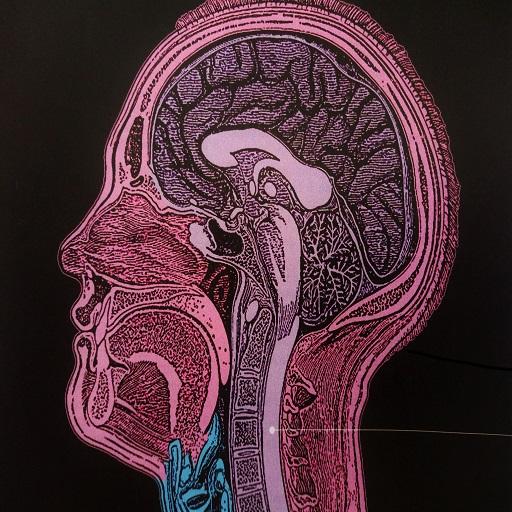 Magnetic Resonance Imaging icon