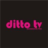 Free ditto TV -  Live TV Shows Channels List أيقونة