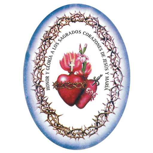 Miembros del ANE icon