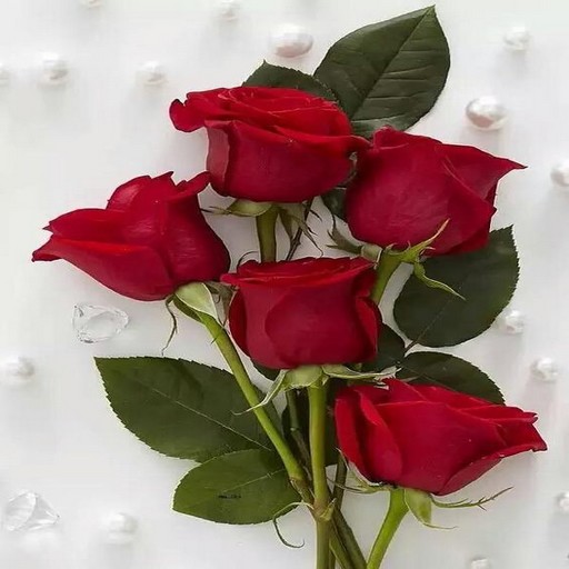 Image Roses 4K And GIF icon