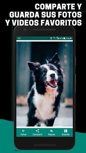 Status downloader - Clic para chatear - Descargar screenshot 6