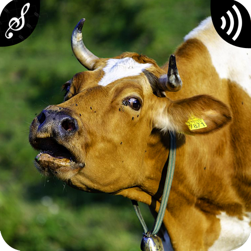 Cow Sounds icon