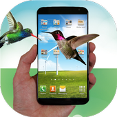 Hummingbird fly in phone prank icon