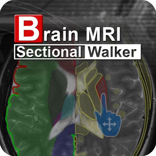 Brain MRI Sectional Wlker icon