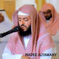 wadi alyamani murottal juz 30 on 9Apps