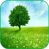 Nature Lock Screen icon